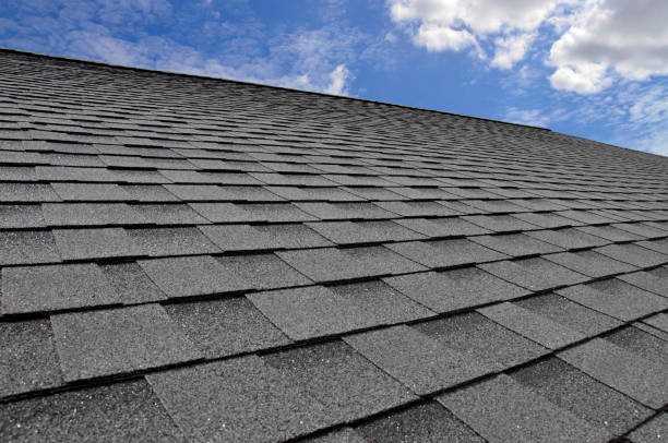 Best Solar Panel Roofing Installation  in Bowling Green, KY